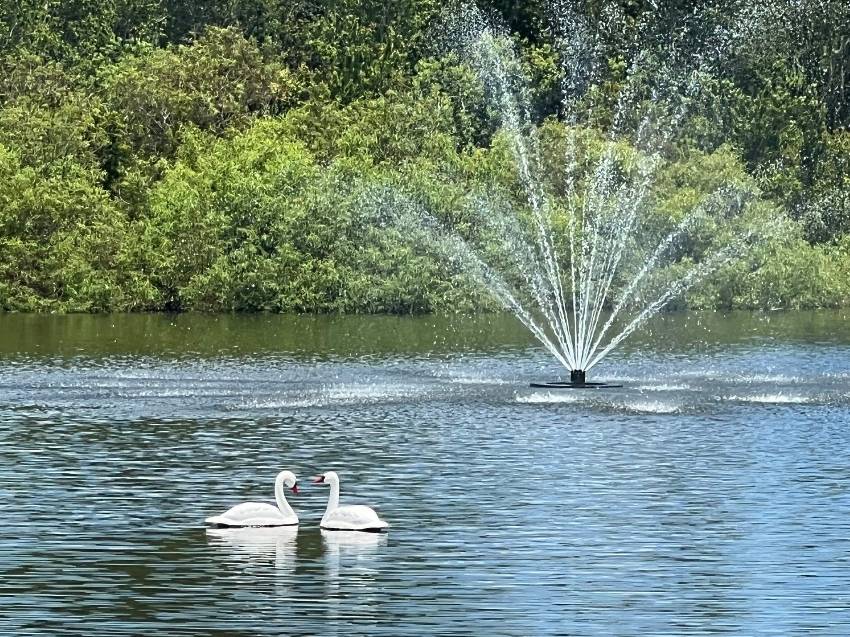 Veranda Springs - Mobile Home Community